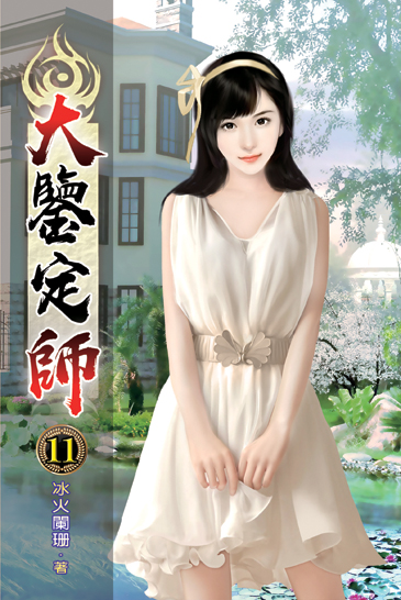 大鑒定師11 封面
