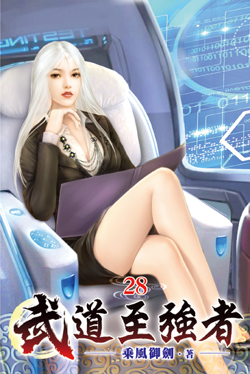 武道至強者28 封面