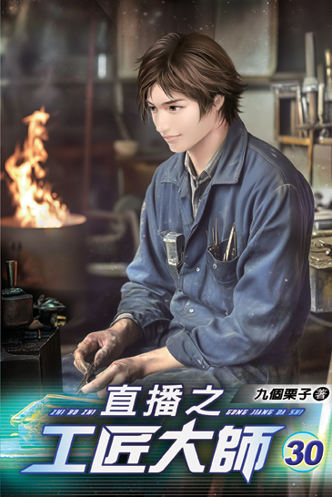 直播之工匠大師30 封面