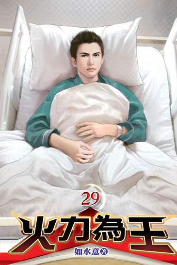 火力為王29 封面