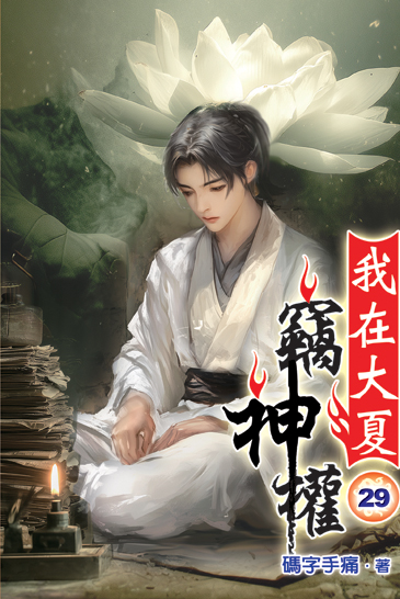 我在大夏竊神權29 封面
