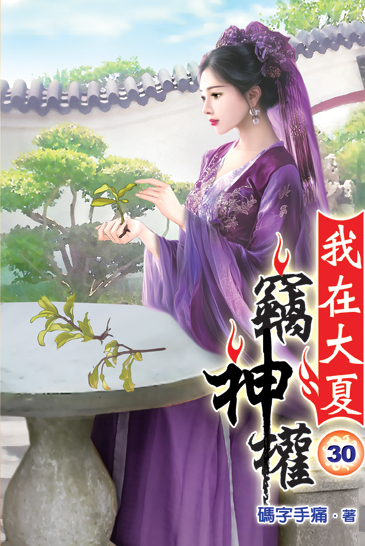 我在大夏竊神權30 封面