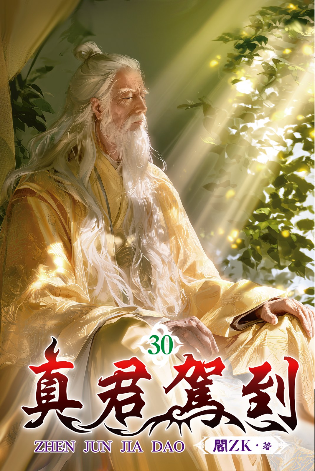 真君駕到 30 封面