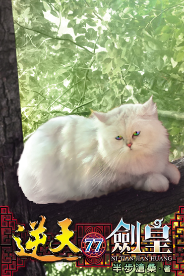 逆天劍皇77 封面