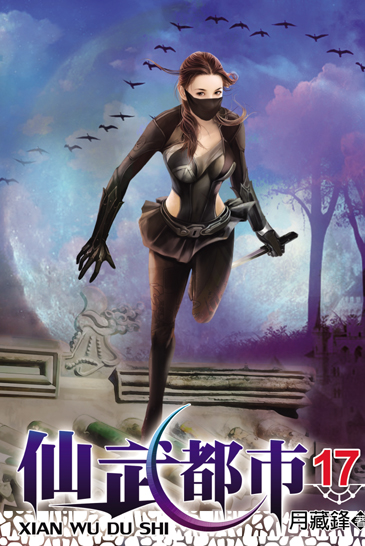 仙武都市17 封面