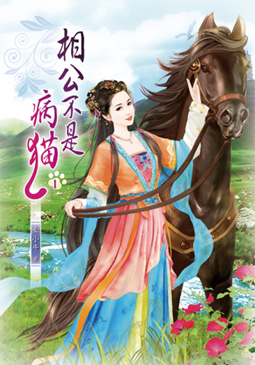 相公不是病貓 封面