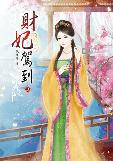 財妃駕到3 封面