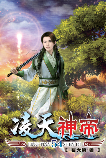 凌天神帝54(完) 封面