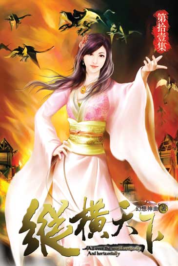 縱橫天下11 封面