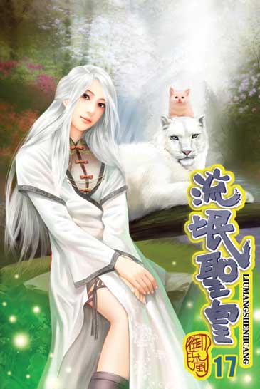 流氓聖皇17 封面