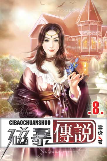 磁暴傳說8 封面