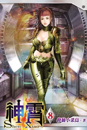 神霄8 封面