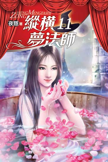 縱橫夢法師11 封面