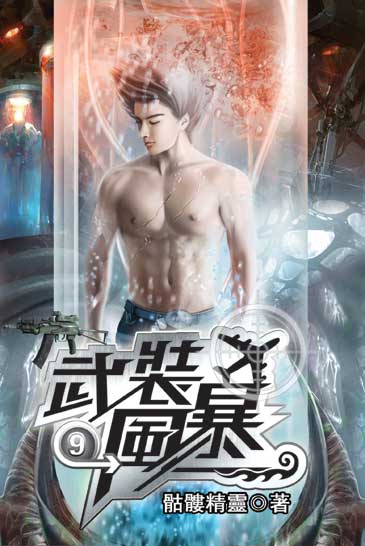 武裝風暴09 封面