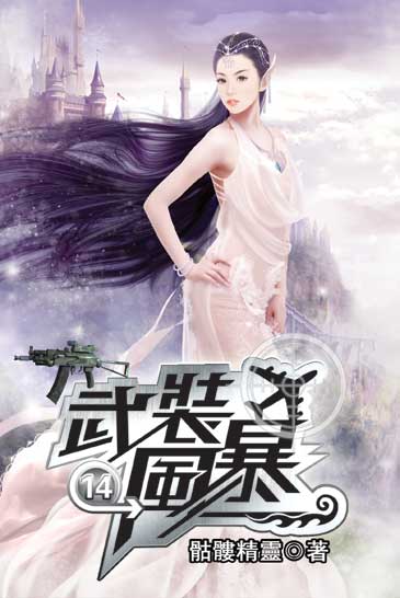 武裝風暴14 封面