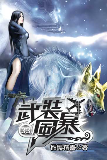 武裝風暴33 封面