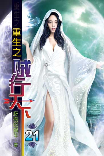 重生之賊行天下21 封面