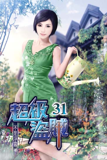 超級盜賊31 封面