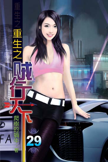 重生之賊行天下29 封面
