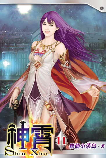 神霄11 封面