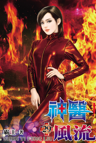 神醫風流29 封面