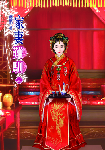 家妻難馴3 封面