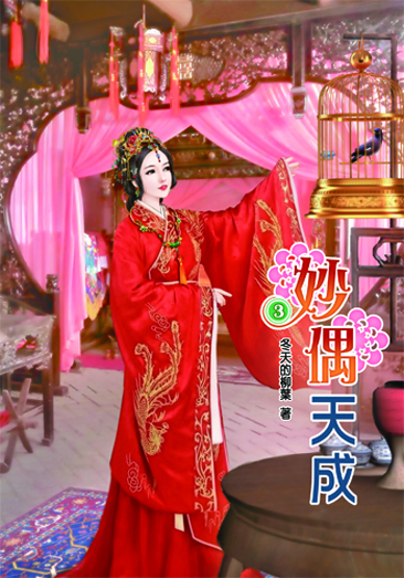 妙偶天成3 封面