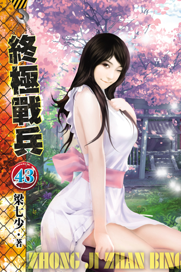 終極戰兵43 封面