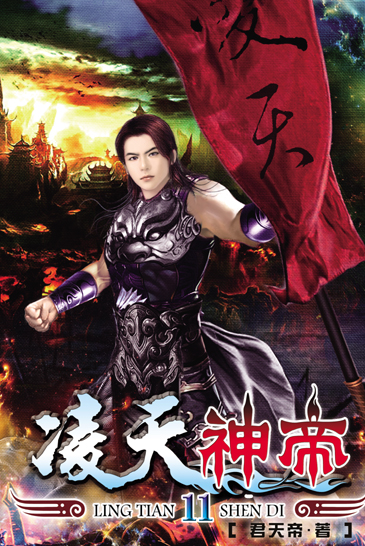 凌天神帝11 封面