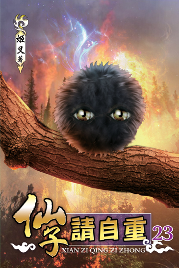 仙子請自重23 封面