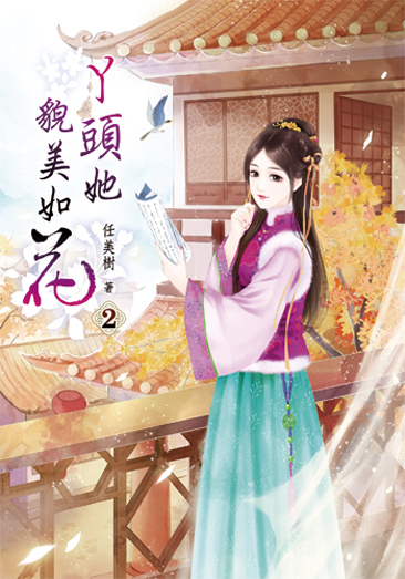 丫頭她貌美如花2 封面