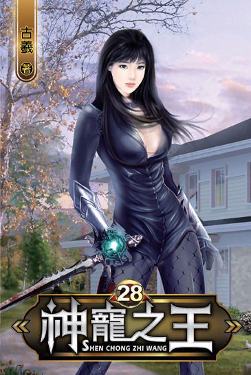 神寵之王28 封面
